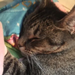 Meet your Posher, Grace